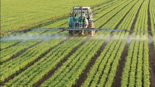 Umfrage: Bundesbürger sehen Landwirtschaft positiv