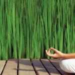 Six Senses Hotels Resorts Spas