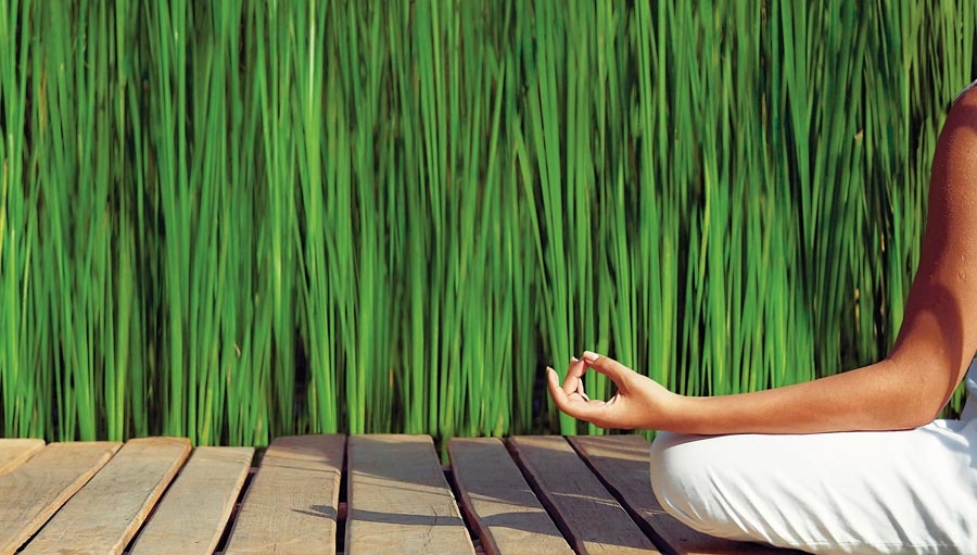 Six Senses Hotels Resorts Spas